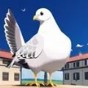 qmd最新版本下載