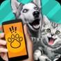 pettranslator動物翻譯器下載