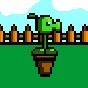pvz3重制版為什么進(jìn)不去