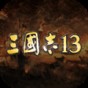 三國志13無限娶妻能生孩子嗎