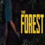 the forest怎么多人保存游戲