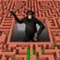 3d迷宮游戲大全