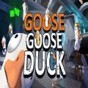 goole download apk