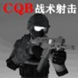 戰(zhàn)術射擊游戲手游